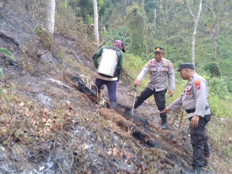 Sinergitas Polisi bersama TNI dan BPBD Padamkan Kebakaran di Perkebunan Gunung Terong Banyuwangi