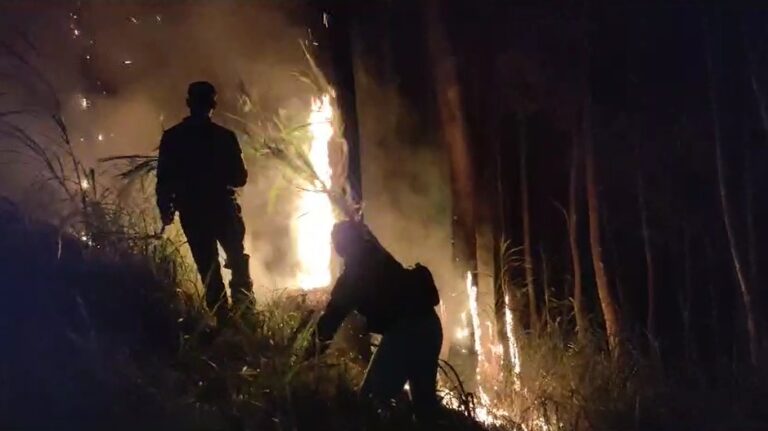 Polres Malang dan Tim Satgas Karhutla Berhasil Padamkan Kebakaran di Jabung