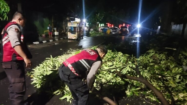 Gercep, Polisi Tangani Pohon Tumbang, Jalur Mudik Kota Kediri Kembali Lancar