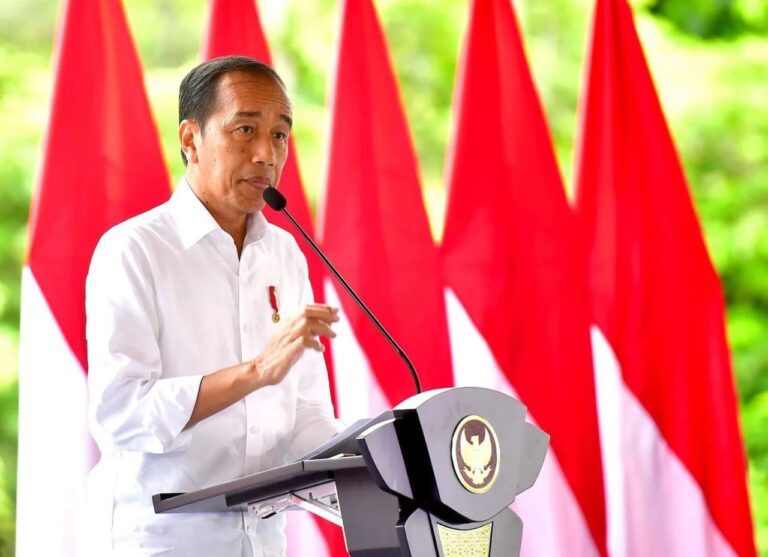 Presiden Jokowi Apresiasi TNI-Polri Atas Kebebasan Pilot Susi Air