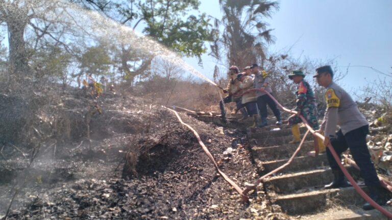 Polisi Bersama Tim Gabungan dan Relawan Berhasil padamkan Kebakaran Hutan di Lumajang