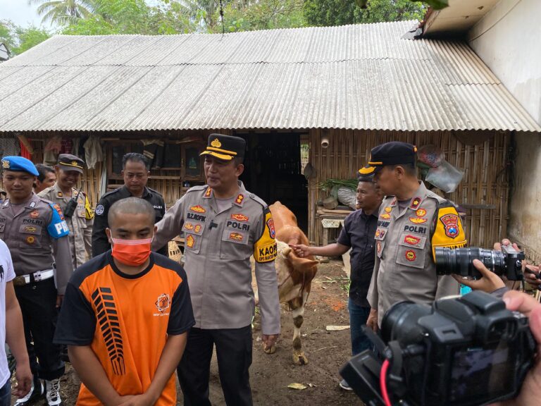 Polres Lumajang Ungkap Jaringan Pencurian Sapi, Satu Pelaku berhasil Dilumpuhkan