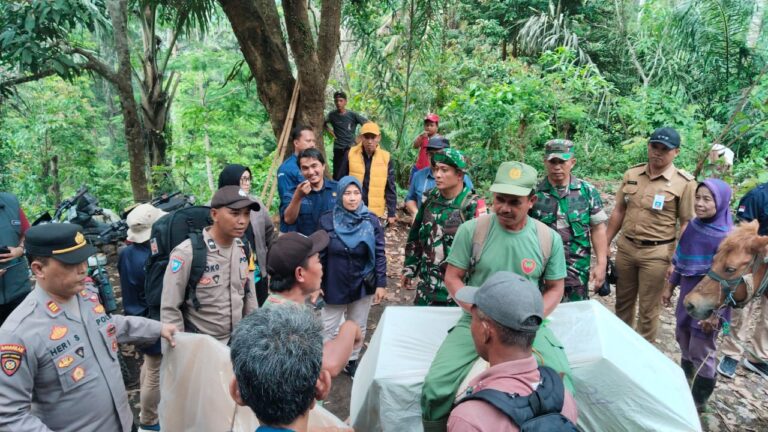 Penuh Perjuangan, Petugas Distribusikan Logistik Pilkada Menggunakan Kuda ke TPS Terpencil di Jember