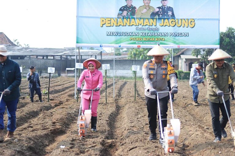 Wujudkan Ketahanan Pangan Mandiri, Polres Blitar Kota Bersama Masyarakat Tanam Jagung di Lahan Aset Polri