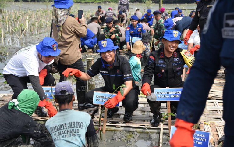 Lestarikan Lingkungan, Ditpolairud Polda Jatim Tanam Belasan Ribu Bibit Mangrove di Gresik