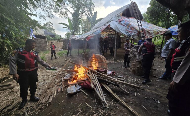 Tindak Tegas Perjudian Polres Mojokerto Bongkar Arena Sabung Ayam