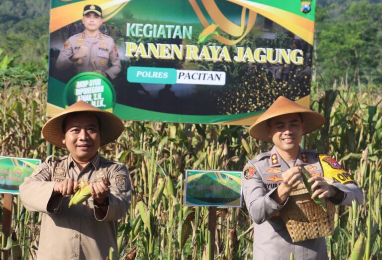 Polres Pacitan Bersama Warga Tani Panen Jagung Wujudkan Ketahanan Pangan Nasional