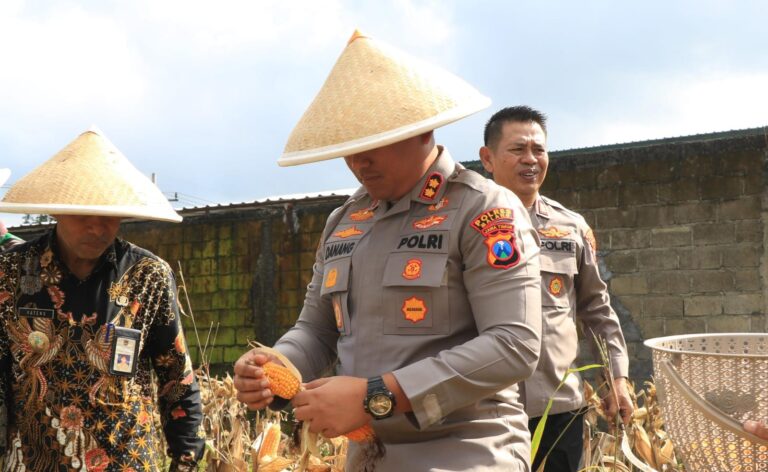 Polres Malang Panen Raya Jagung Dukung Ketahanan Pangan Nasional