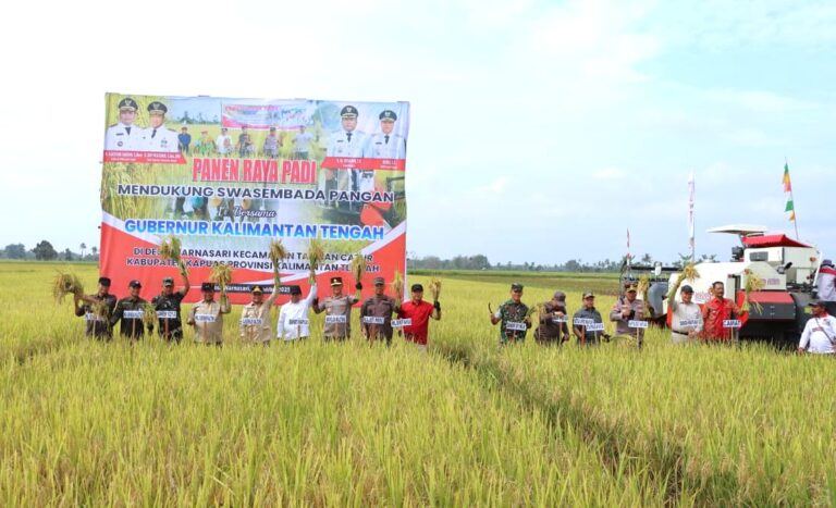 Kapolda Kalteng dan Gubernur Panen Raya Padi di Kapuas, Wujud Dukungan terhadap Ketahanan Pangan