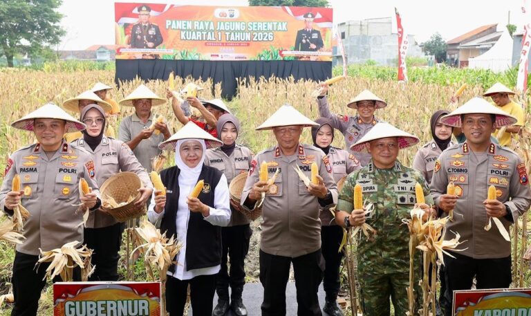 Polda Jatim Gelar Panen Raya Jagung Serentak Kuartal IV di Sidoarjo