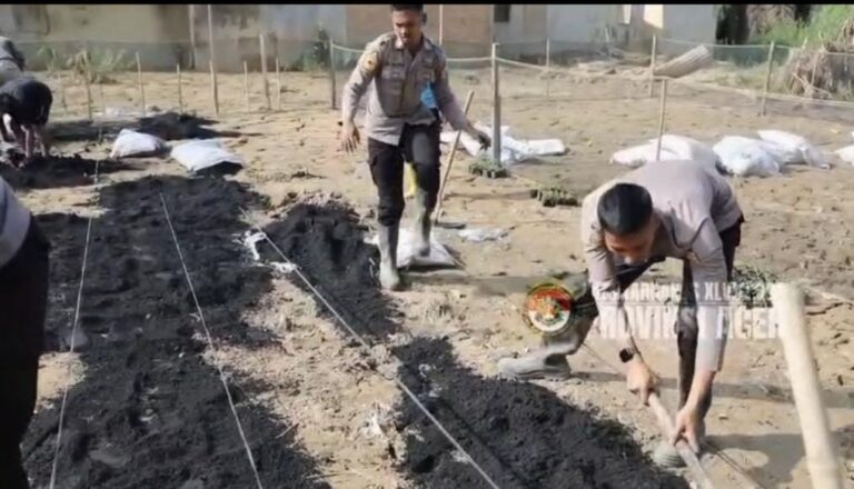 Taruna Akpol Pulihkan Ketahanan Pangan dan UMKM Warga Aceh Tamiang Lewat Pekarangan Pangan Lestari