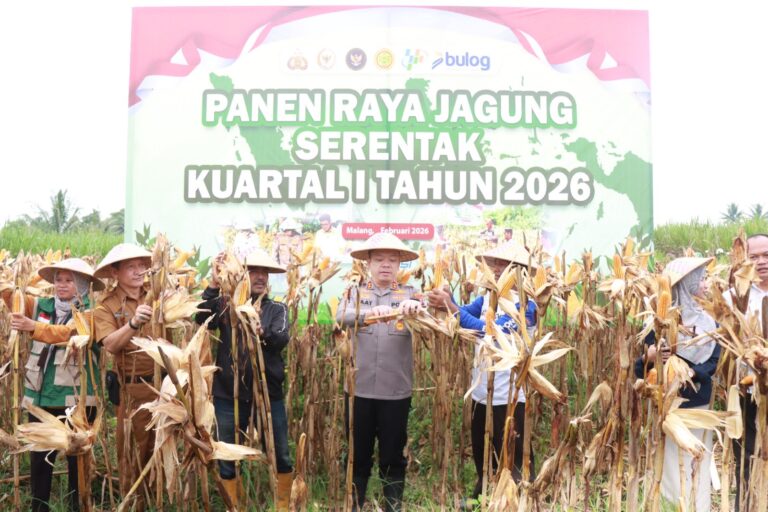 Polres Malang Panen Raya Jagung, Hasil 8 Ton untuk Dukung Stok Pangan