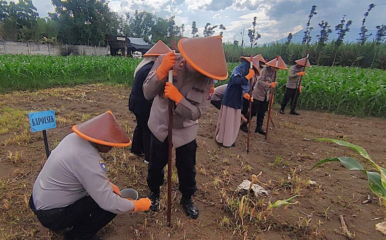 Polresta Malang Kota Tanam Jagung Serentak Kuartal I 2026, Perkuat Ketahanan Pangan dan Dukung Swasembada Nasional