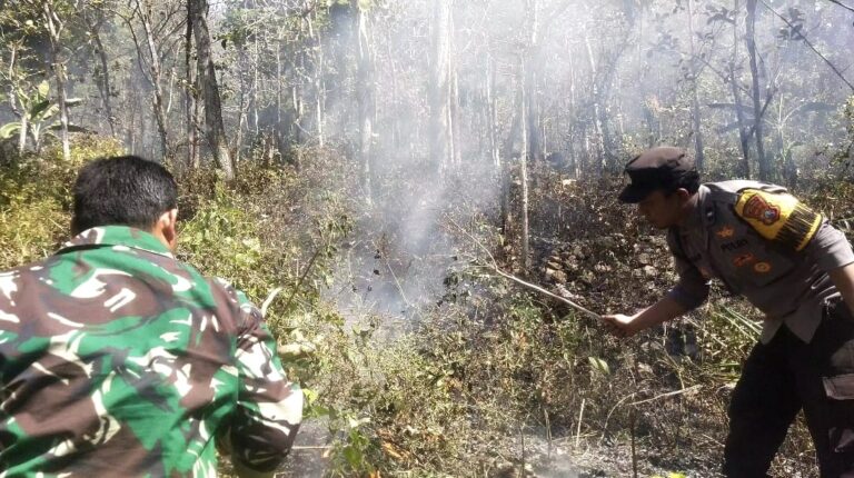 Respon Cepat Call Center 110 Polres Ngawi, Kebakaran Lahan di Bukit Gogor Sine Berhasil Dipadamkan