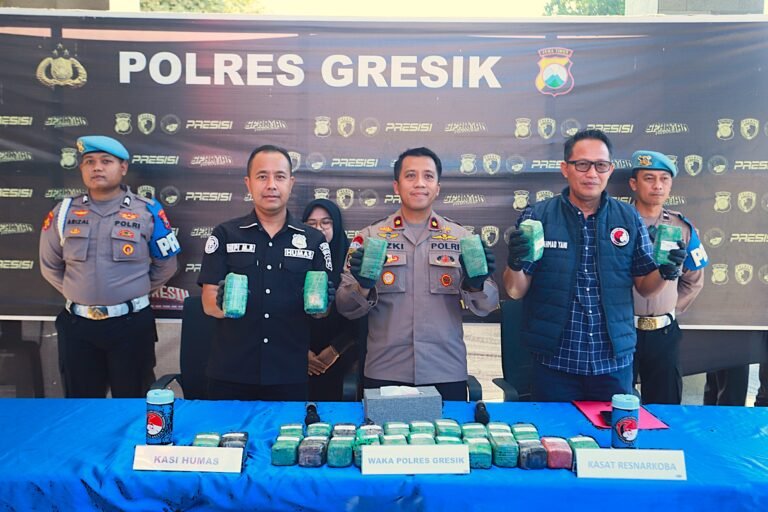 Polres Gresik Sita 10,8 Kg Ganja di Gudang Ekspedisi