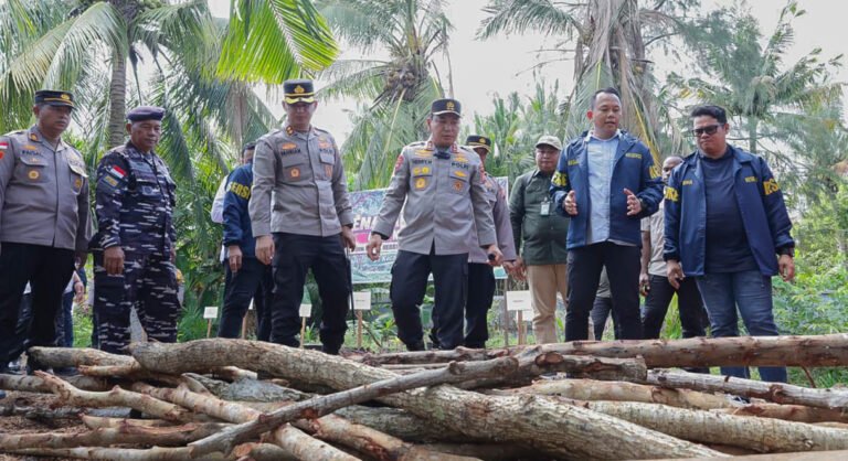 Dapur Arang Mangrove Dibongkar, Polda Riau Tangkap Dua Tersangka di Rupat