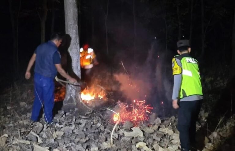 Respons Cepat, Polsek Widodaren dan Tim Gabungan Padamkan Titik Api Karhutla di Ngawi*