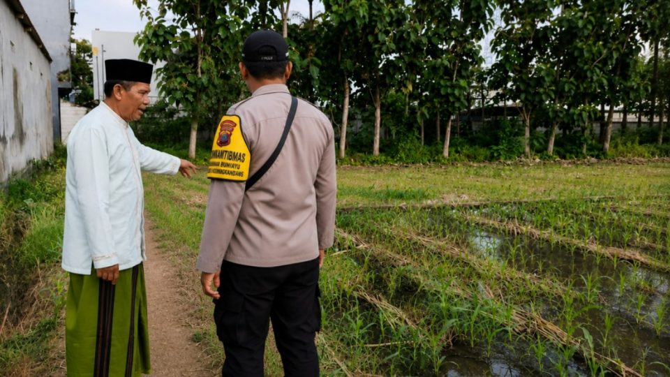 Bhabinkamtibmas Polresta Malang Kota Dampingi Petani, Aiptu Totok Dorong Swasembada Jagung
