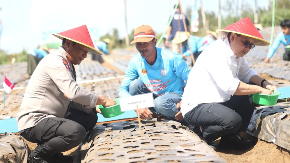 Dukung Swasembada Pangan, Polda Jatim dan Petani Tanam Bawang Putih Serentak