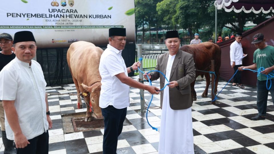Iduladha 1447 H Polda Jatim Salurkan Ratusan Hewan Kurban untuk Masyarakat