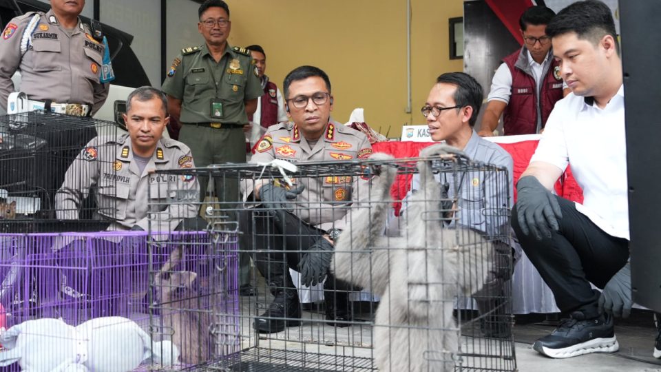 Polresta Sidoarjo Ungkap Perdagangan Ilegal Satwa Lindung Jaringan Internasional
