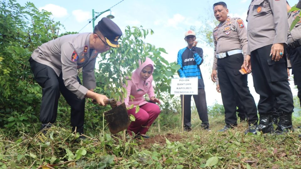 Ratusan pohon beringin ditanam di kawasan lahan rawan kekeringan dengan harapan pohon tumbuh besar dan memberikan manfaat ekologis pada masa mendatang