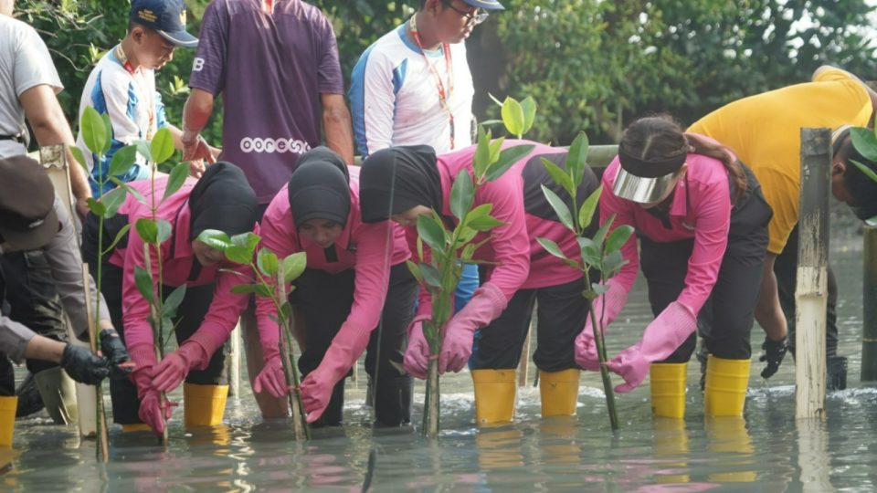 Sambut HUT ke-46, YKB Tanjung Perak Tanam Mangrove Pulihkan Lahan Kritis